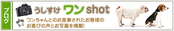 ������������shot