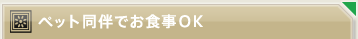 �y�b�g�����ł��H��OK